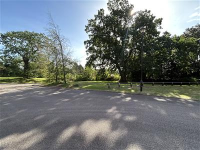 Picture 20